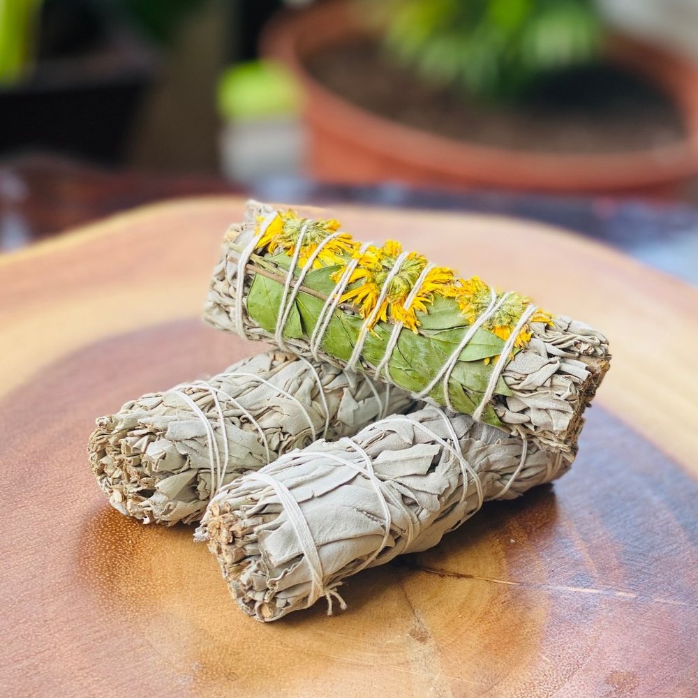 Organic Sage Variety 3 Pack( 4 Inch ) - Picture 4 of 5